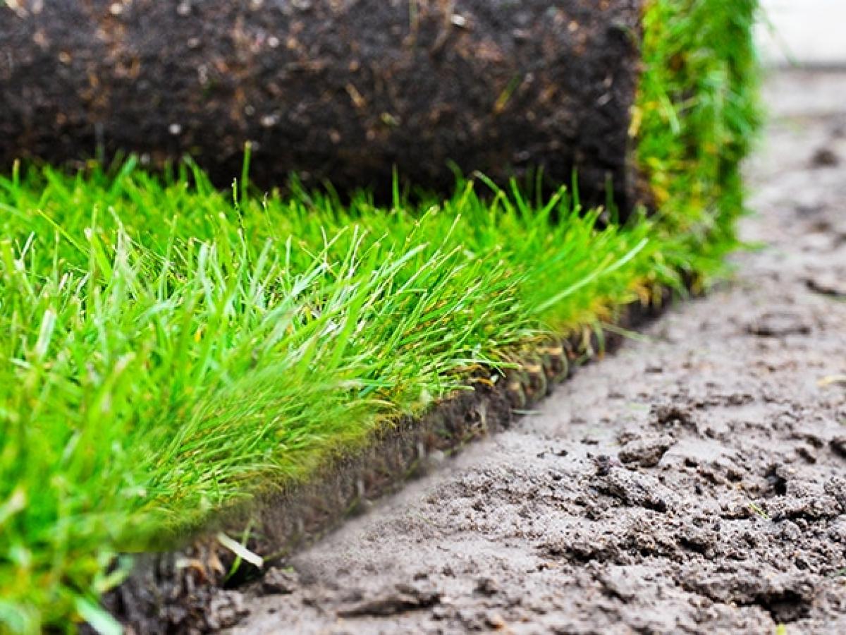 Entretien des espaces verts aux Brouzils et alentours